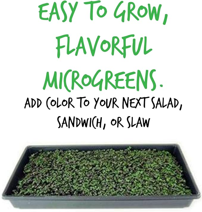Red Acre Cabbage Microgreens & Sprouting Seeds – 4 Gram – Non-GMO, Chemical-Free – High-Germination Seeds for Nutritious Microgreens, Sprouts, Hydroponic Growing, and Indoor Gardening