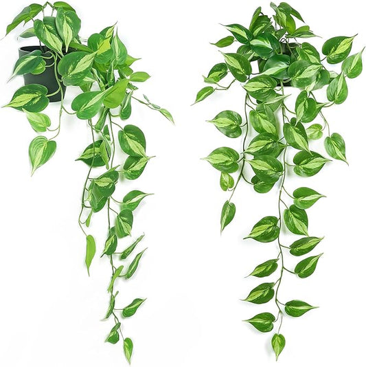 Realistic Artificial Pothos Vines with Pots - Fake Hanging Plants for Indoor Decor, Low Maintenance Silk Faux Greenery(2 PCS)