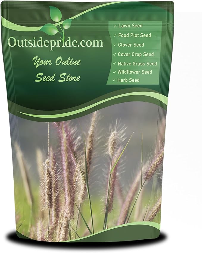 Outsidepride Perennial Northeast Native Grass Seed Mix - 1 lb. Cold & Drought-Tolerant Warm & Cool Season Prairie Grass Seeds for Xeriscaping, Erosion Control, Wildlife Support, & Pollinator Habitats