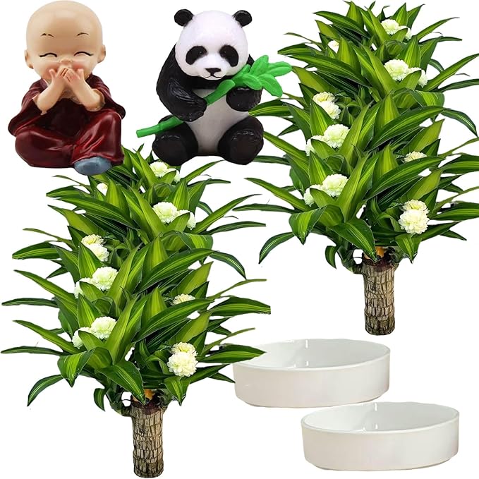 Brazilian Lucky Wood Plant, Brazilian Wood with Energy Crystals, Low-Light Office, Bedroom Decor, Home Good Luck Decor (Purple+Panda)