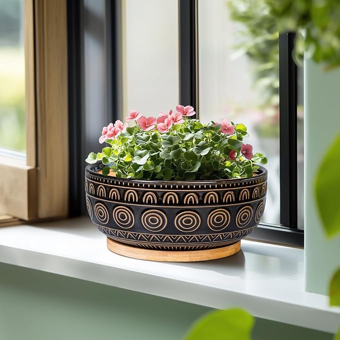 Ceramic Bonsai Pots - 8 Inch Plant Pot for Succulent, Round Planter for Indoor Plants, Shallow Planters with Drainage Hole and Tray, Boho Bonsai Bowl, Living Room Decor, Black
