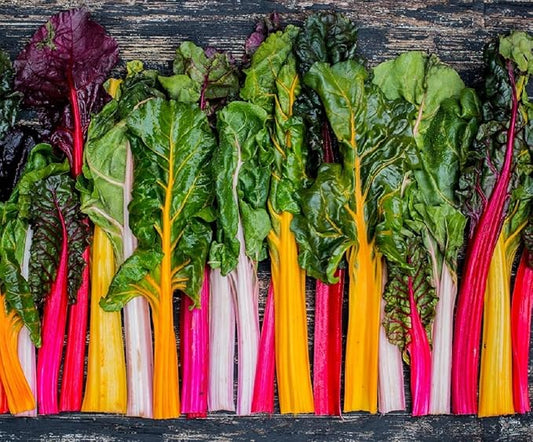 Rainbow Swiss Chard Seeds for Planting Heirloom Non GMO Packets 50 Seeds – Plant & Grow Swiss Chard Home Outdoor Garden, Great Gardening Gift - 1 Packet