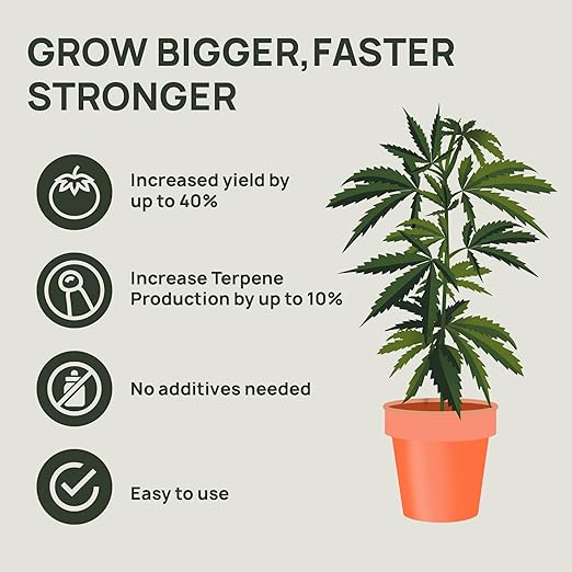 Strive Fertilizer Starter Kit Combo - Veg + Bloom General Hydroponic Nutrients - Indoor, Outdoor and Soil Growing Plant Food - Booster for Vegetables, Succulents, Flowers
