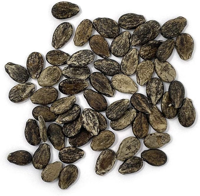 Organic Watermelon Seeds (Crimson Sweet) - Approx 12 Seeds - USDA Organic, Non-GMO, Open Pollinated, Heirloom, USA Origin (Pack of 2)