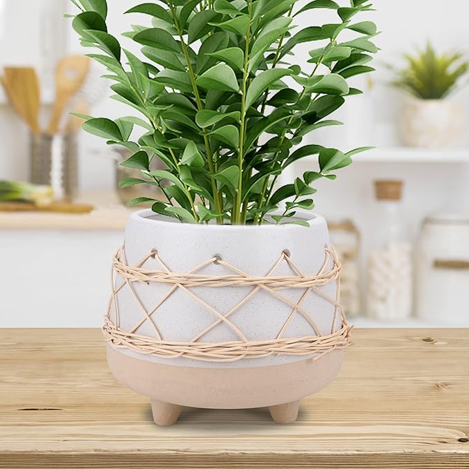 Ceramic Planter 8 Inch Plant Pots Indoor Outdoor Planter with Drainage Hole Flower Pots Plant Pot Ceramic Mid-Century