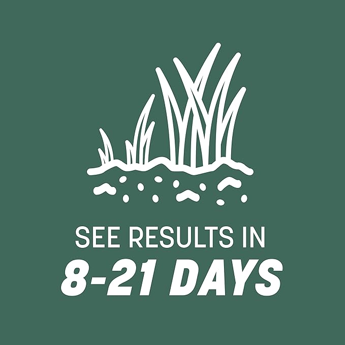 Pennington Kentucky 31 Tall Fescue Penkoted Grass Seed 3 lb