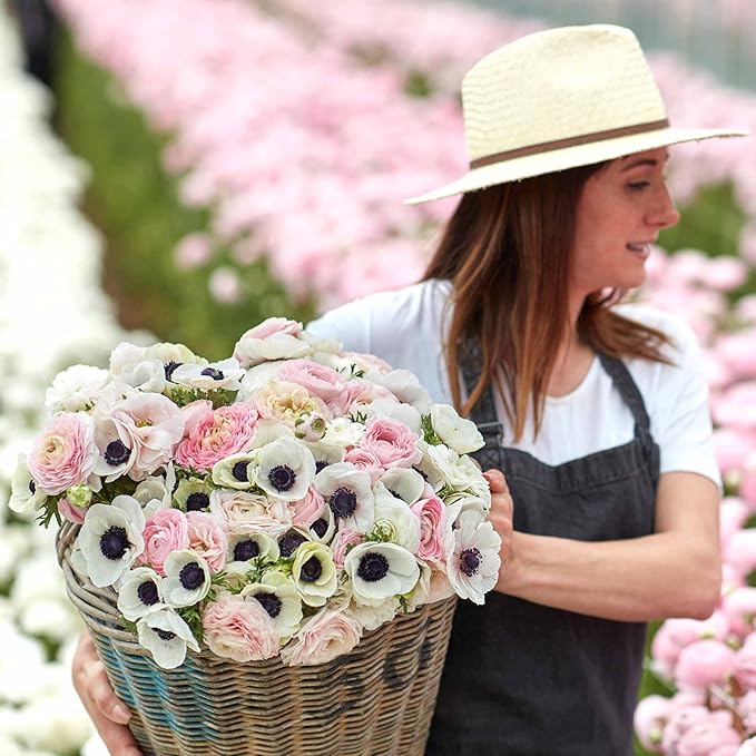 Eden Brothers Anemone & Ranunculus Bulbs - Paris in Spring Collection