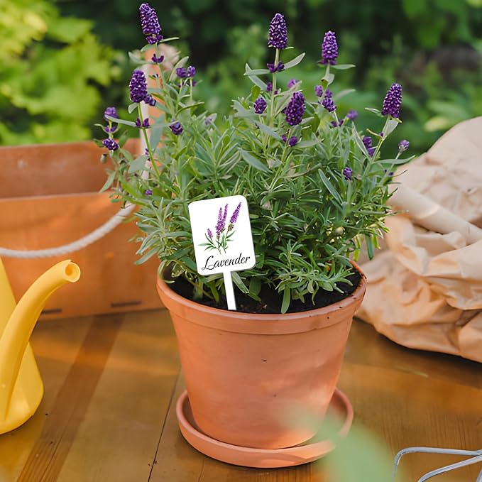 12Pcs Herb Garden Signs - 12 Styles Plant Labels with Names for Vegetables, Indoor/Outdoor Garden Decoration