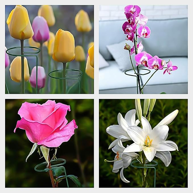 GROWNEER 24 Packs 24 Inches Plant Support Stakes, with 15 Pcs Plant Labels, Garden Single Stem Flower Support Stake, Plant Cage Support Rings for Flowers Amaryllis Orchid Peony Lily Rose