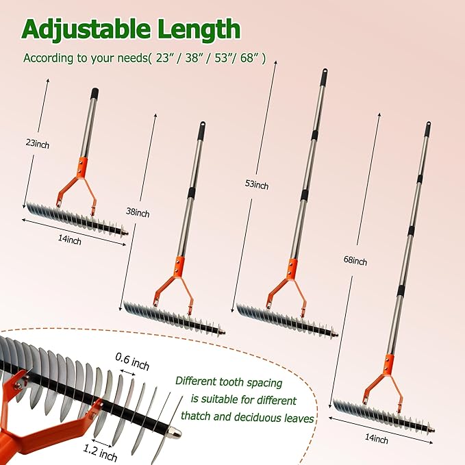 Thatch Rake,Lawn Thatcher Rake with Different Tooth Space, 68" Adjustable Length Thicker Handle for Cleaning Fallen Leaves, Lawn Renovation Care and Loosening Soil