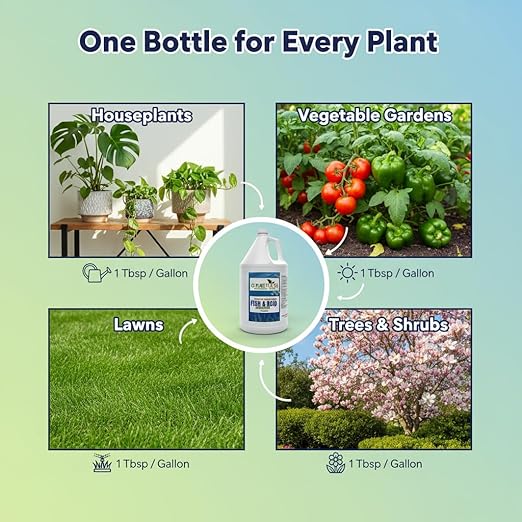 GS Plant Foods Liquid Fish & Kelp Fertilizer (1 Gallon) – Organic Material Review Institute Listed Natural Plant Food for Home Gardens, Lawns, and Vegetables