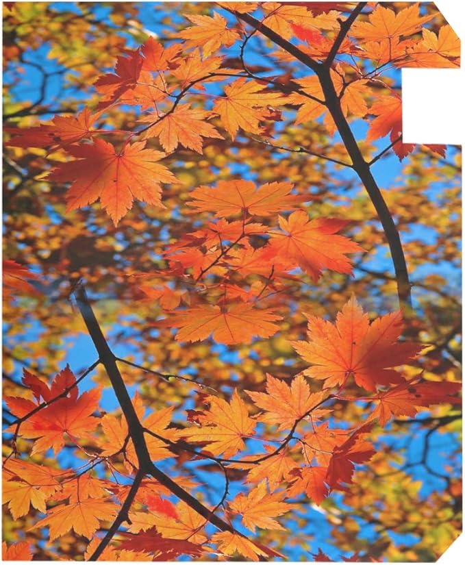 WOOR Red Yellow Fall Maple Leafs Magnetic Magnetic Mailbox Cover Standard Size for Garden Yard Outdoor Decorations-18 x 20.8"