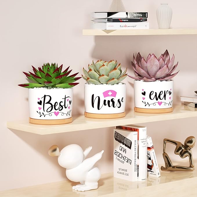Best Nurse Gifts for Women Christmas, Funny Gifts for Nurse, Nurse Practitioner Gifts Best Nurse Ever Succulent Pots for Plants Indoor Ceramic Planter, Gift Boxed Nurses Day Gifts Nurse Birthday Gifts