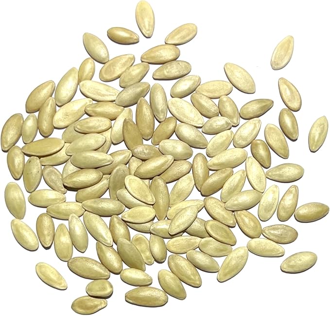 Seed Needs Cucumber Seeds for Planting Lemon Cucumbers - Heirloom Non-GMO & Untreated Vegetable Seeds to Grow an Outdoor Home Grown Veggie Garden (1 Pack)