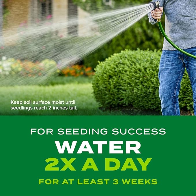 Scotts Turf Builder Rapid Grass Tall Fescue Mix, Combination Grass Seed and Fertilizer, Grows Green Grass in Just Weeks, 5.6 lbs.