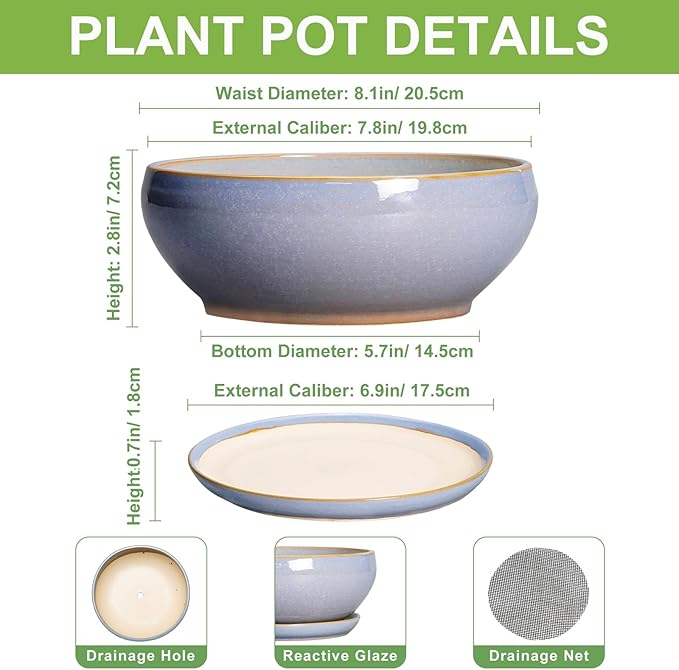 SQOWL Succulent Planters - 8 Inch Ceramic Bonsai Pots with Drainage Hole and Plant Saucer, Shallow Round Planter for Indoor Plants Flower, Bowl Planter Outdoor, Office Decor, House Warming Gift, Blue