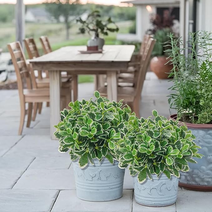 GTIDEA Faux Plants Outdoor Artificial Greenery 6Pcs Faux Greenery for Planters Fake Bushes Shrubs for Window Box Indoor Outside Garden Front Patio Yard Porch Décor