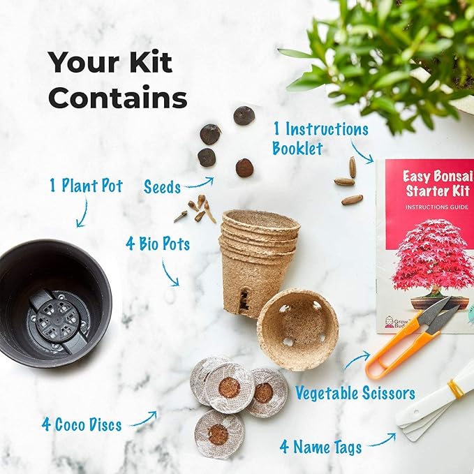 Grow Your Own Bonsai Tree kit | Easily Grow 4 Types of Bonsai Tree with Our Complete Beginner Friendly Bonsai Starter kit | Bonzai Tree | Christmas Gift Set for Plant Lovers (Bonsai Kit)