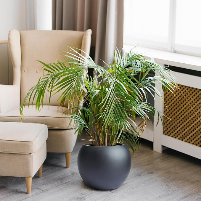 9.7" H x 12" D Globo Fiberstone Round Planter - Christmas Tree Planter, Smooth Finishes, Weather Resistant for Indoor & Outdoor Use, Included 2 Extra Coco Mats (Black, 7.8" Pot Opening)