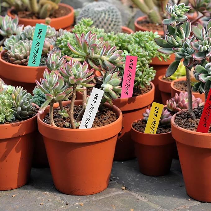 Foraineam 1000 Pcs 4 Inches Plant Labels Plastic Plant Tags Nursery Garden Labels Pot Marker Garden Stake Tags