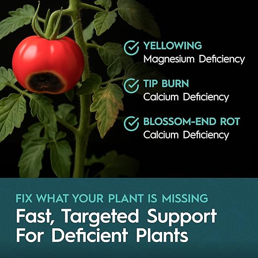 CaMg Quart | High-Concentration Calcium and Magnesium Supplement with Nitrogen and Iron | Essential Micronutrient Blend for Vigorous Plant Growth