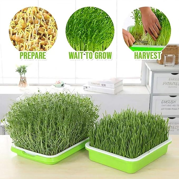 Plastic Growing Trays, Seed Tray with Germination Layer and Water Storage Layer, Double-Layer Design, for Seedlings, Indoor Gardening, Growing Microgreens, Wheatgrass(Blue)