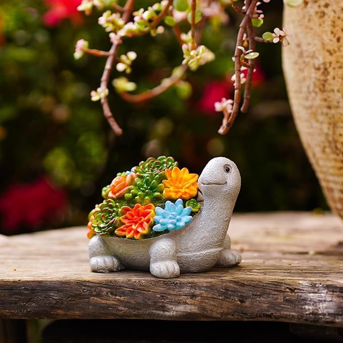 Outdoor Turtle Key Hider Statue - Cute Succulent Turtle Hide a Key Outdoor Decorative - Small Gift Box for Women, Home Decor & Gifts