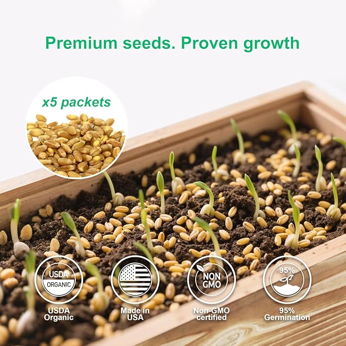 Cat Grass Kit for Indoor Cats Complete with Rustic Wood Planter, Organic Wheat Grass Seed and Soil, Grows in 7 Days, Prevent Hairballs and Aid Digestion Ideal Birthday Christmas Gift for Cat Lovers