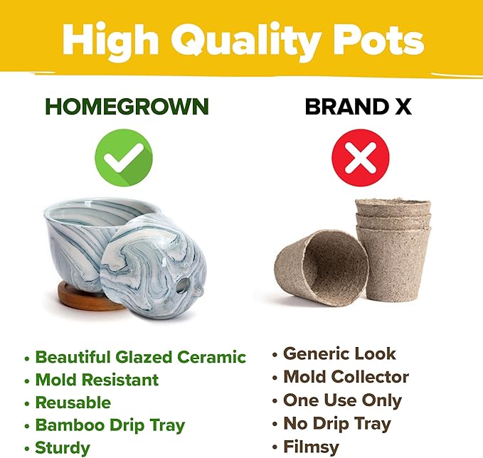 Succulent & Cactus Grow Kit – Complete Plant Gift Set with 4 Ceramic Pots & Trays, 6 Seed Packs (3 Cactus, 3 Succulent), Plant Markers, Peat Pellets, Nutrients & Guide – Ideal Holiday & Birthday Gift
