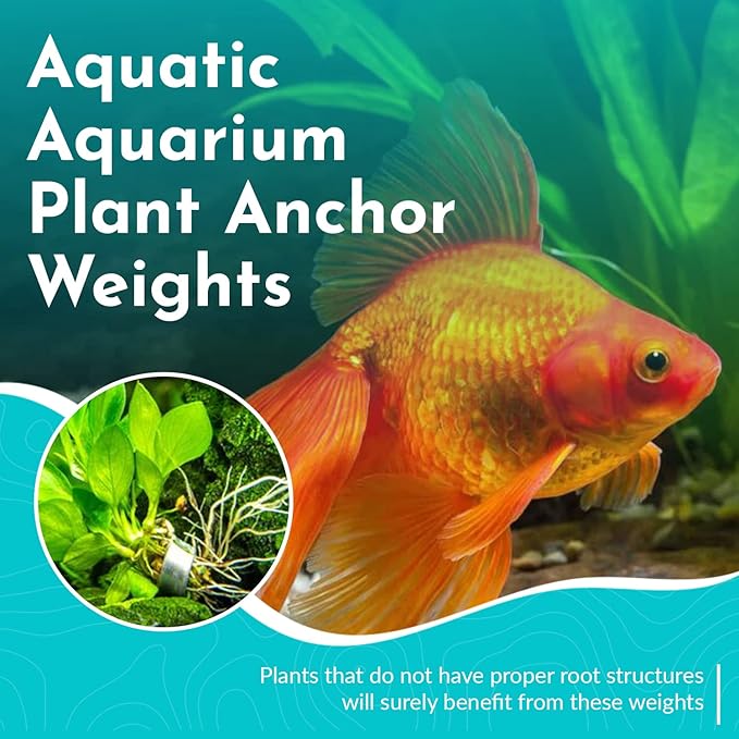 Anchor Lead Plant Holder Flexible Weight - Easy to Manipulate - Used for Submerge Plants in Aquariums or Ponds - 10 Piece Lead Strips - Grey
