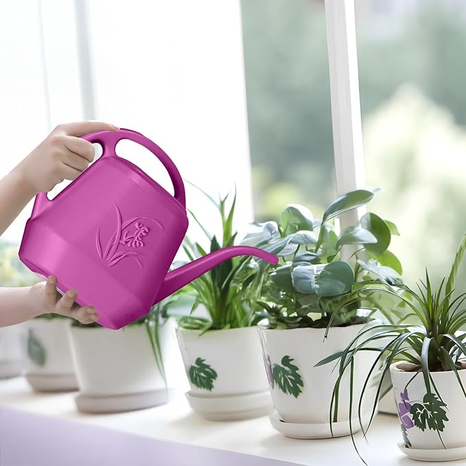 Plastic Watering Can - for Home Plant Garden - 1/2 Gallon - Rose Red