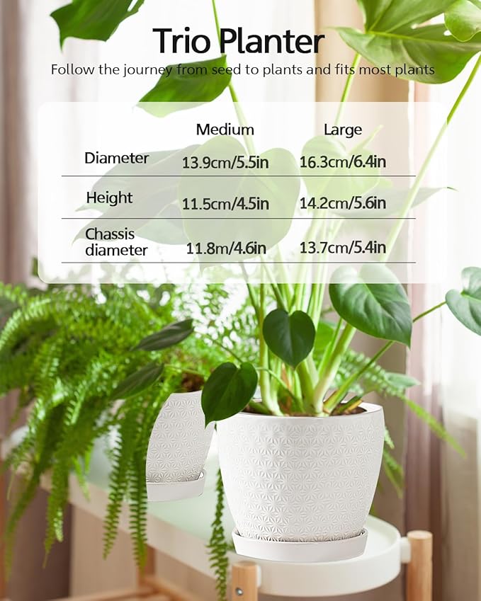 Plant Pots, Flower Pots, Planters for Indoor Plants(6.5+5.5inch), Flower Pots for Indoor Plants with Drainage Hole and Saucer, Ceramic Pots for Plant with Hole Mesh Pad,White