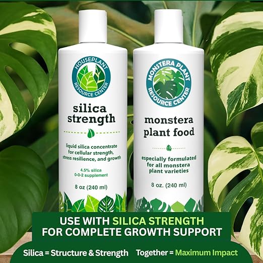 Silica Strength Plant Supplement – Strengthens Stems, Supports Upright Leaves & Improves Stress Resilience | Ready-to-Use 4.5% Liquid Concentrate for Houseplants | 8 oz | Makes 96 Gallons