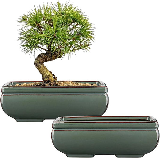 Ceramic Bonsai Pots with Drainage Hole Set of 2, Green Glazed Bonsai Planters for Indoor/Outdoor Use, Rectangular Shallow Bonzai Tree Pot for Succulent, Orchids, Cacti, Home, Patio, Garden, 8.7"x5.9"