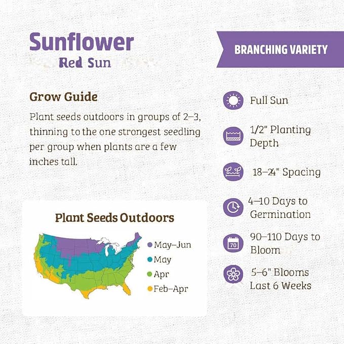 Sunflower Seeds for Planting - Heirloom Non-GMO Red Sun Sunflower Seeds to Plant & Grow Home Outdoor Garden - Great Gardening Gift, 50 Seeds