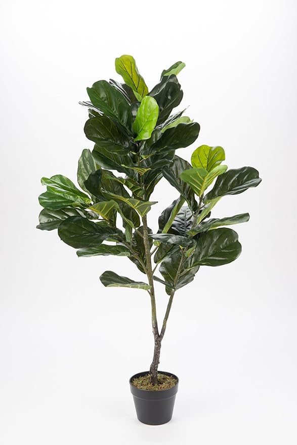 Naturae Decor Fiddle Leaf Plant - Lifelike Artificial Indoor House Plant - 49 in High