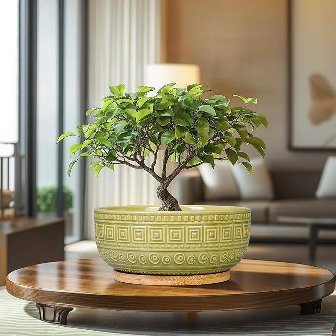 G EPGardening Bonsai Tree Pot - 8 Inch Ceramic Planter for Indoor Plants Flower, Shallow Round Succulent Bowl with Drainage and Saucer, Boho Office Decor, Gifts for Plant Lovers, Green