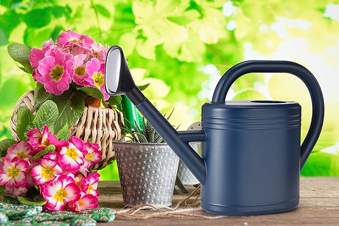 Watering Can 1 Gallon for Indoor Plants, Garden, Outdoor Plant House Flower, Gallon Large Long Spout with Sprinkler Head (Blue)