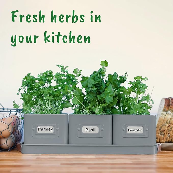 volila Herb Planter Indoor - Set of 3 Grey Indoor Herb Garden Pots for Plants with Leather Handled Tray - Window Sill Plant Shelf - Herb Pots with Drainage Holes and Labels