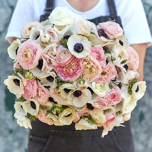 Eden Brothers Anemone & Ranunculus Bulbs- Paris in Spring Collection