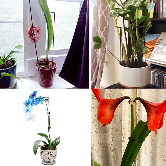 10 pcs 24 inch Metal Single Stem Flower Plant Support Stakes and Rings for Amaryllis Orchid Lily Sunflower Rose Narcissus