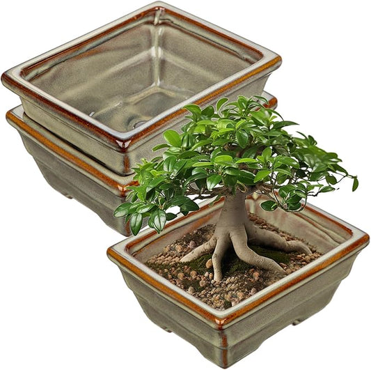 Ceramic Bonsai Pots with Drainage Hole, Set of 2 Rectangular Glazed Bonsai Planters for Indoor/Outdoor Use, Shallow Brown Bonzai Tree Pots for Succulent, Orchids, Cacti, Home, Patio, Garden, 6.3"x4.9"