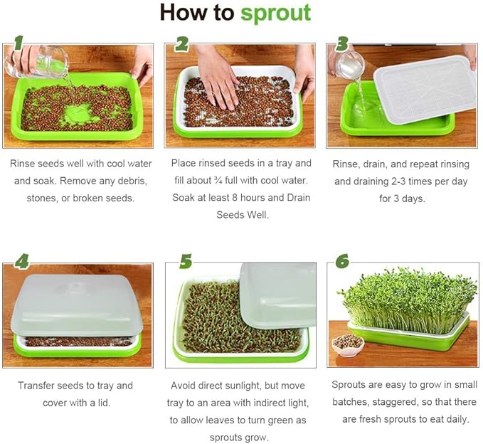 SUNPRO 2-Pack Seed Sprouter Tray BPA Free PP Soil-Free Big Capacity Healthy Wheatgrass Grower Sprouting Container Kit with Lid (2, Green)