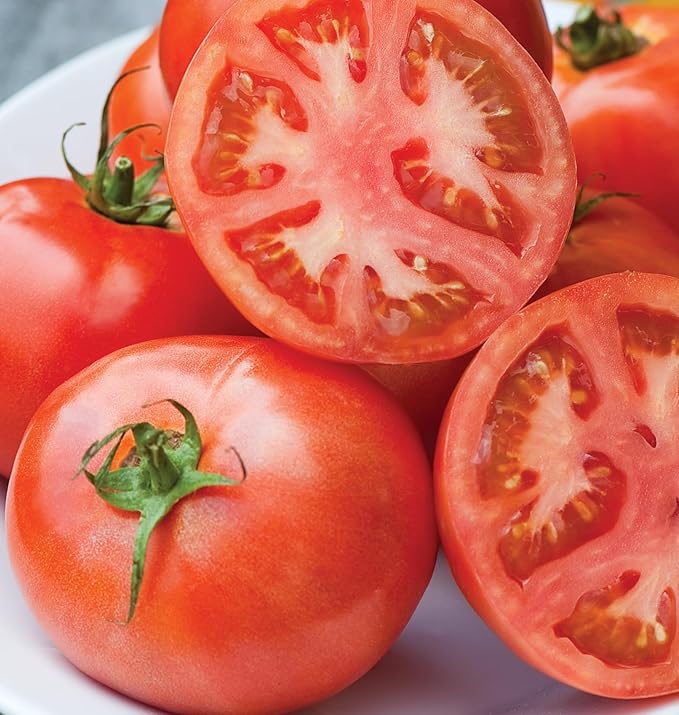 Burpee 'Early Pick VF' Hybrid , Red Beefsteak Slicing Tomato , 50 Non-GMO Seeds