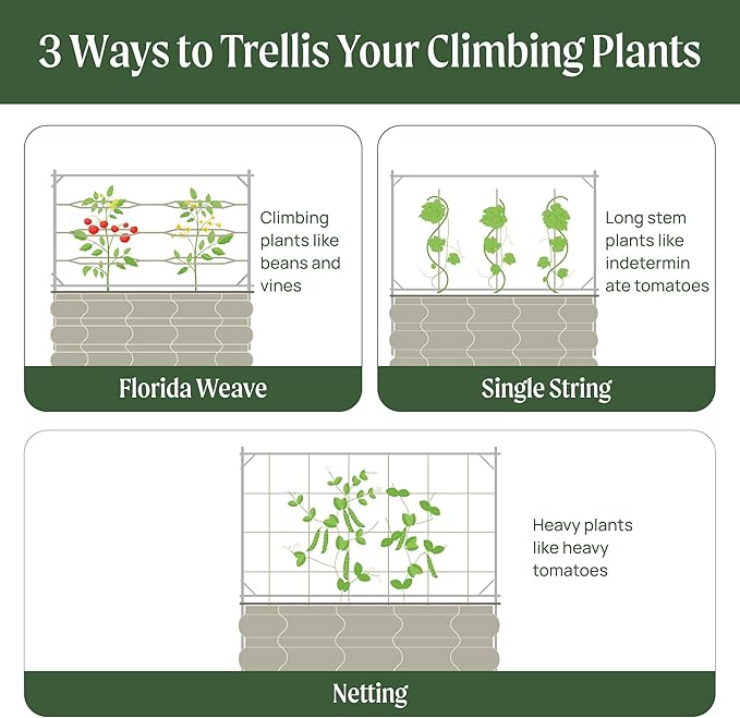 Vego Garden Metal Frame Tomato Trellis, Garden Trellis for Climbing Plants Like Cucumber Beans Tomatoes & Vines, 5.0ft Long Metal Trellis for Raised Garden Beds
