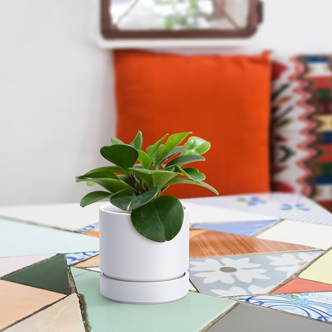4 Inch Modern Plastic Round Pots for Indoor Houseplants and Herbs, Pack of 3 Planter Pot with Drainage Hole & Saucer, Deep Water Catch Tray, Straight Cylindrical Pot for Plants, Matte White, 23-D-R-1