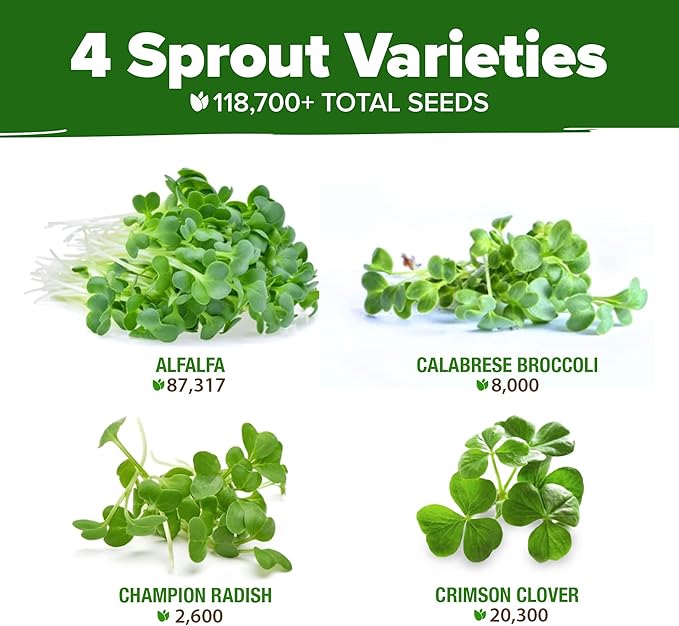 HOME GROWN 16oz Premium Sprouting Seeds Mix 118,200+ Microgreens Seeds for Indoor Growing - Non-GMO Broccoli, Alfalfa, Radish, Clover Sprouts Seed - Resealable Pack for Healthy Salad & Juicing