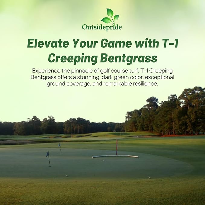 Outsidepride T-1 Creeping Bentgrass Seed - 5 lbs Fine-Bladed, Premium Quality Turf, Grass Seed for Smooth Surface, & High-Traffic Areas, Ideal Grass for Golf Courses Putting Greens, & Fairways