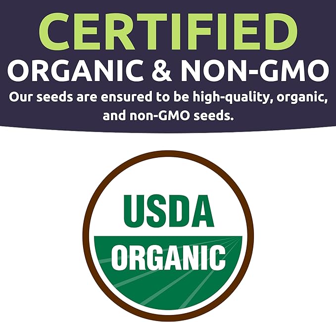 Organic Holy Basil Seeds ‘Tulsi’ – Two Seed Packets! – Over 1,550 Open Pollinated Non-GMO Seeds – Sweet Yards Seed Co.