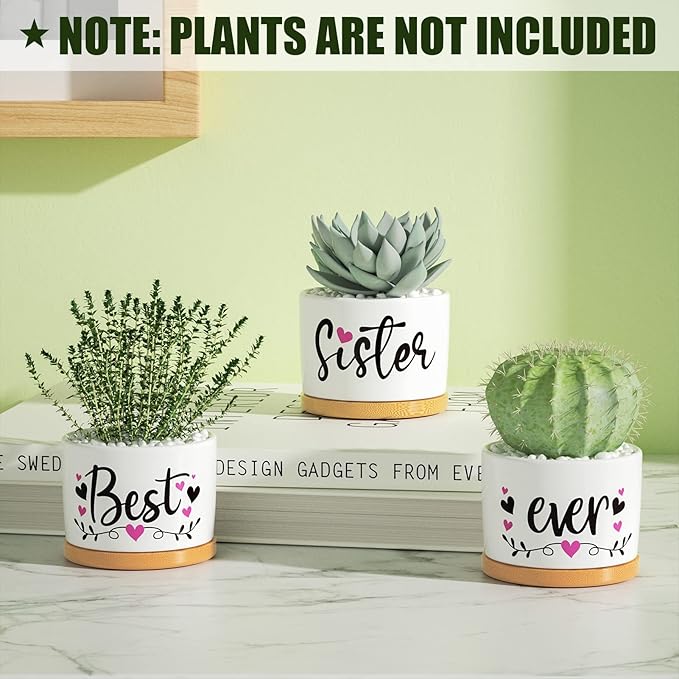 Christmas Sisters Gifts from Sister, Best Gifts for Sister from Brother, Best Sister Ever Ceramic Succulent Pots for Plants Indoor, Gift Boxed Thanksgiving Birthday Gifts for Sister in Law Soul Sister